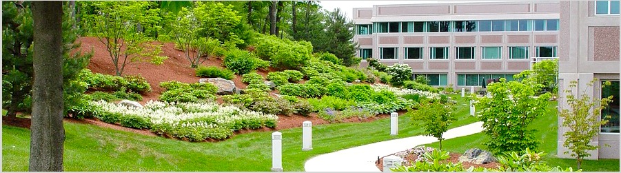 corporate_landscape