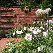 White Flower Garden