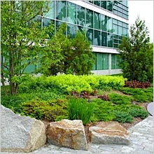 business-park-landscape.jpg