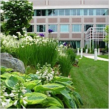 business-park-plantings.jpg