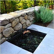 dragonfly-bubbler.jpg