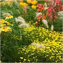 mixed-perennial-garden.jpg