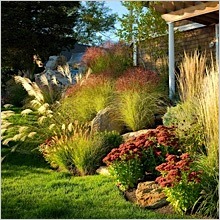 ornamental-grasses.jpg