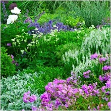 perennial-garden,jpg