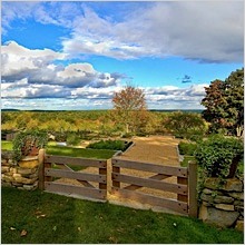 private-garden-renovation.jpg